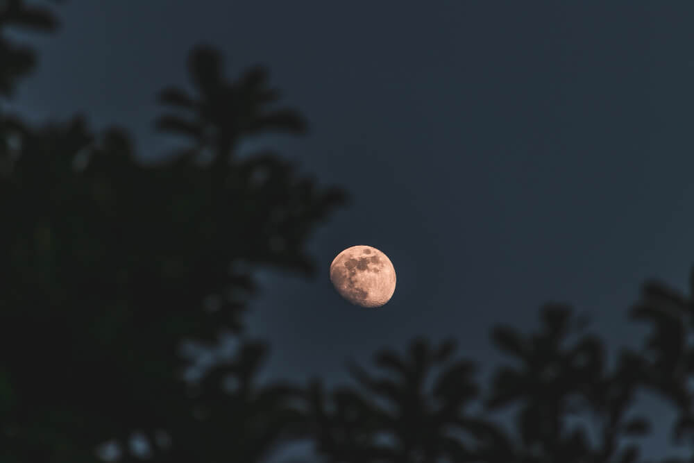 proxima luna llena